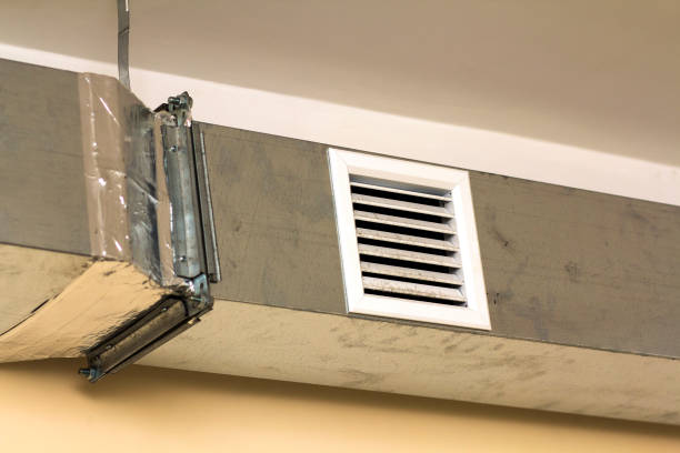 Best Professional Duct Cleaning Services  in Cambridge City, IN